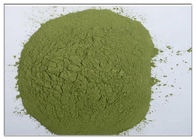 Polvere verde CAS di anti supplementi infiammatori naturali dell'estratto della corteccia del Bayberry 529 44 2 