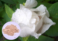 Paeonia Lactiflora della polvere dell'estratto della pianta della radice della peonia per l'imbiancatura della pelle