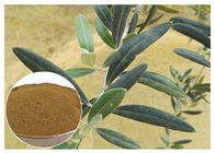 Solvente verde oliva naturale di Hydroxytyrosol 20% dell'estratto della foglia di anti ossidazione in acqua