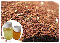 Abbassi l'olio di oenothera biennis della lipemia, l'acido linolenico 10% di gamma liquida dell'olio dell'enagra